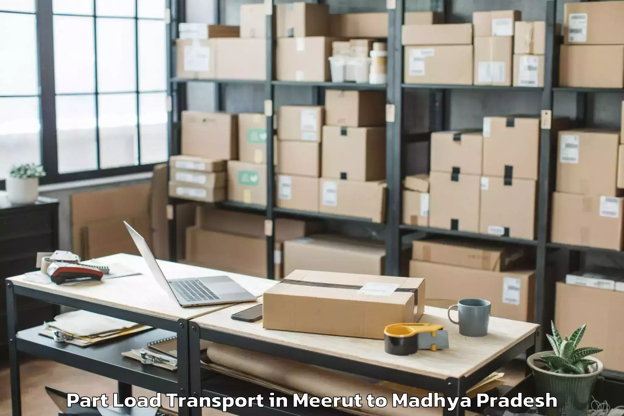 Expert Meerut to Jabera Part Load Transport